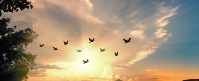 How will I feel after a shamanic session