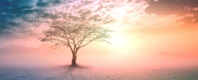 Shamanism and other energy healing