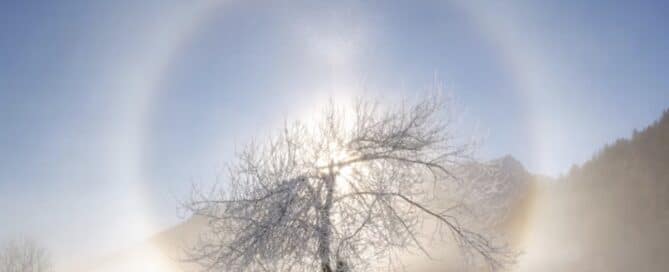 Winter Solstice